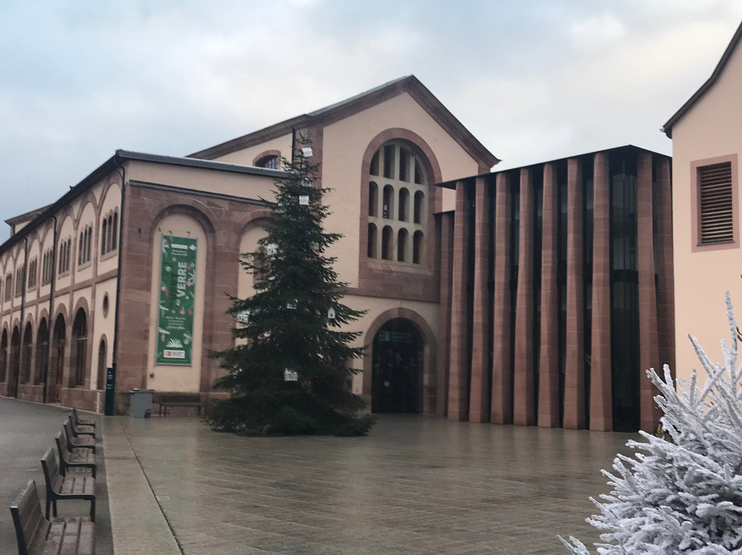Bibliothèque Humaniste景点图片