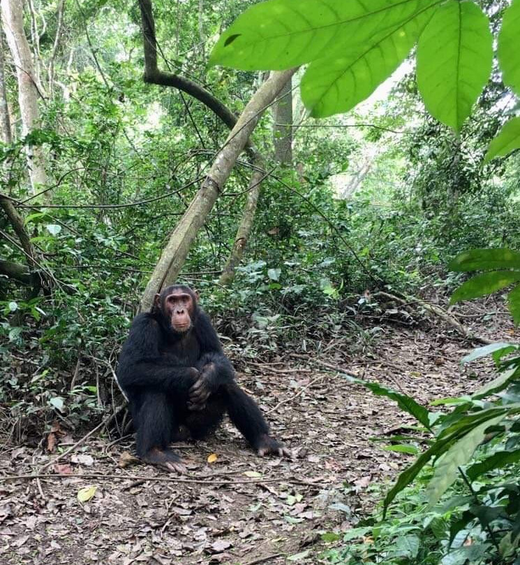 Kyambura Game Reserve (Kyambura Gorge)-伊丽莎白女王国家公园必去景点