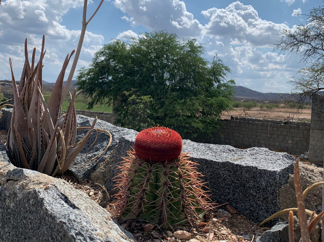 Teatro Nova Jerusalém-Brejo da Madre de Deus必去景点