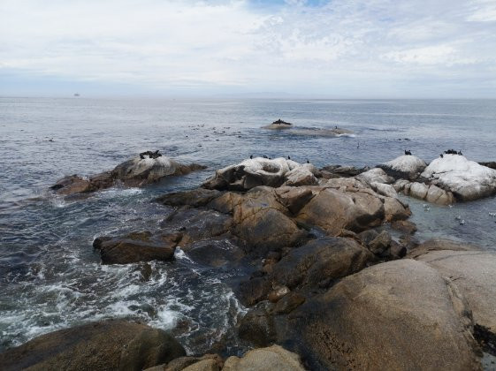 Stompneus Point Lighthouse景点图片