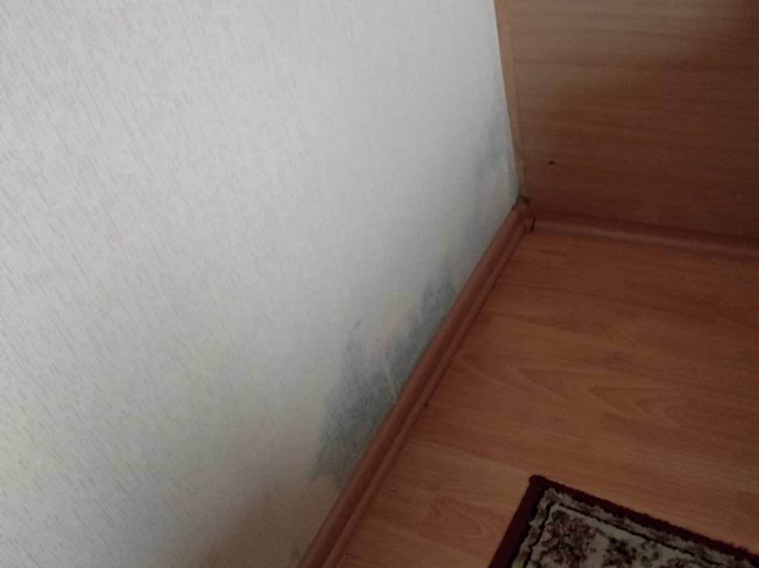 Yolki Hotel主图