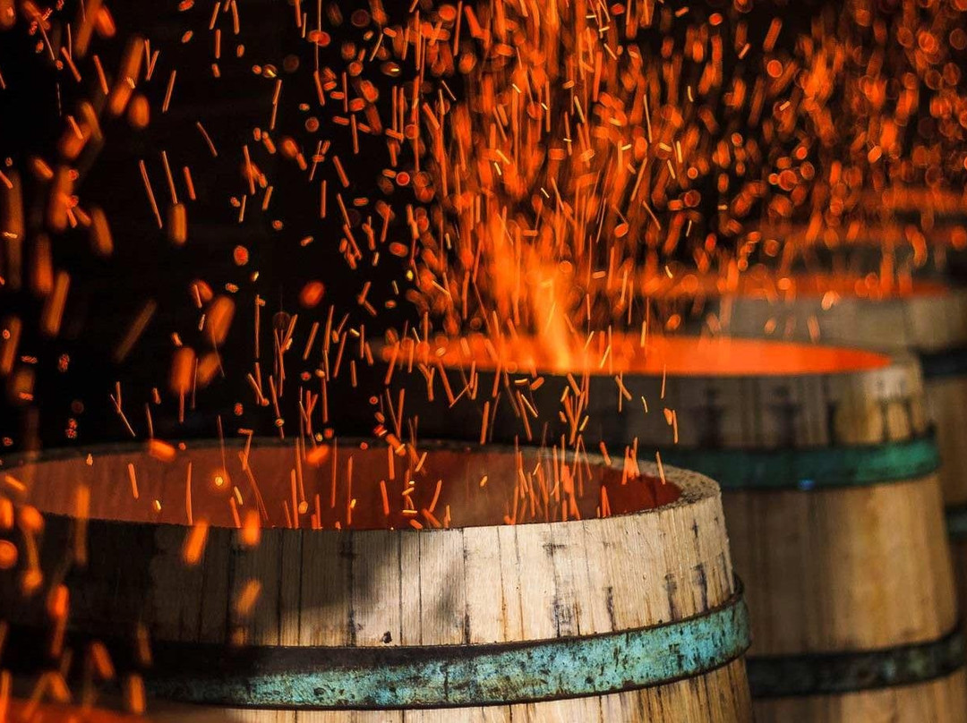 Millésime Privé-波尔多必去景点