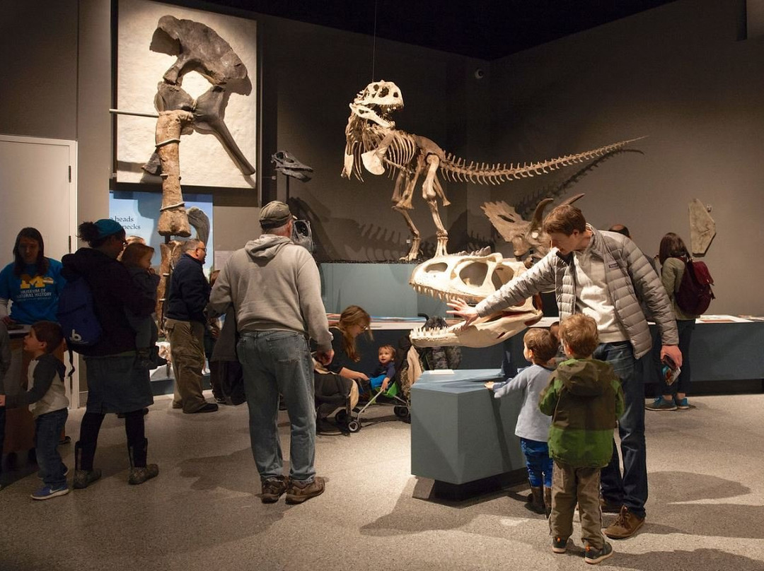 University of Michigan Museum of Natural History-安娜堡必去景点