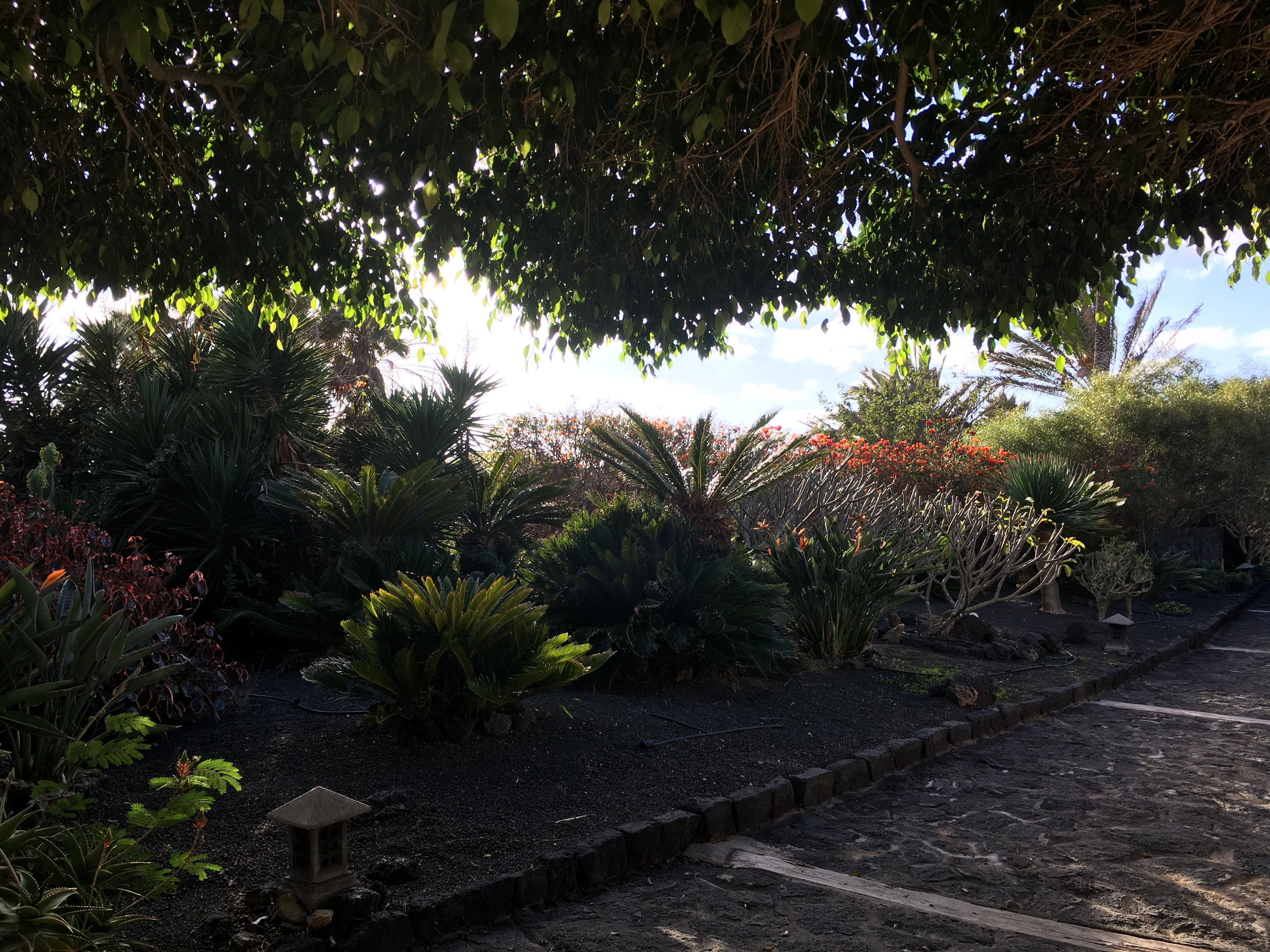 Finca Tomaren-酒店景观