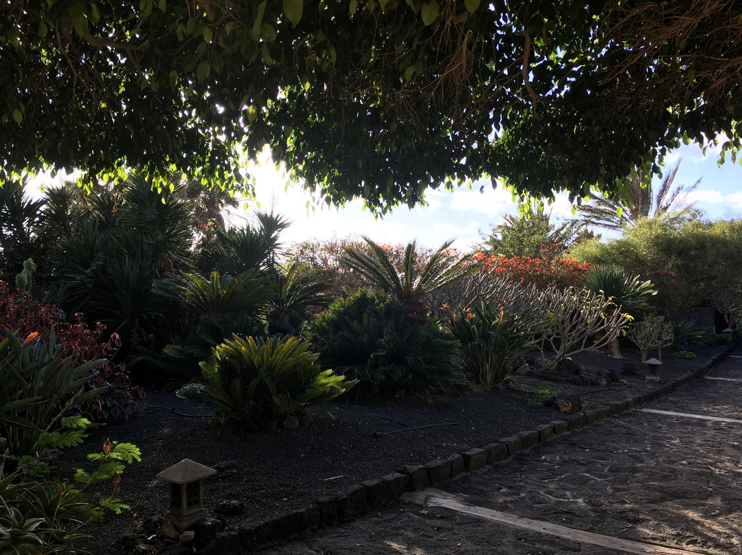 Finca Tomaren主图