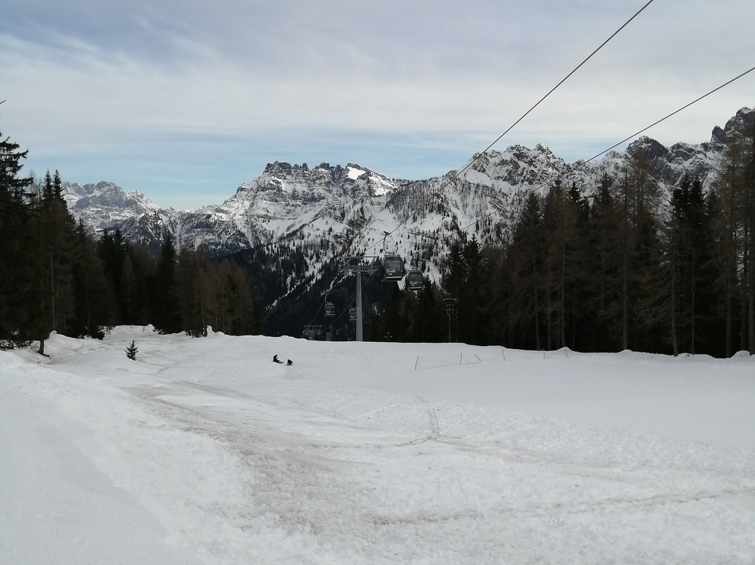 SkiArea San Pellegrino-Alpe Lusia景点图片