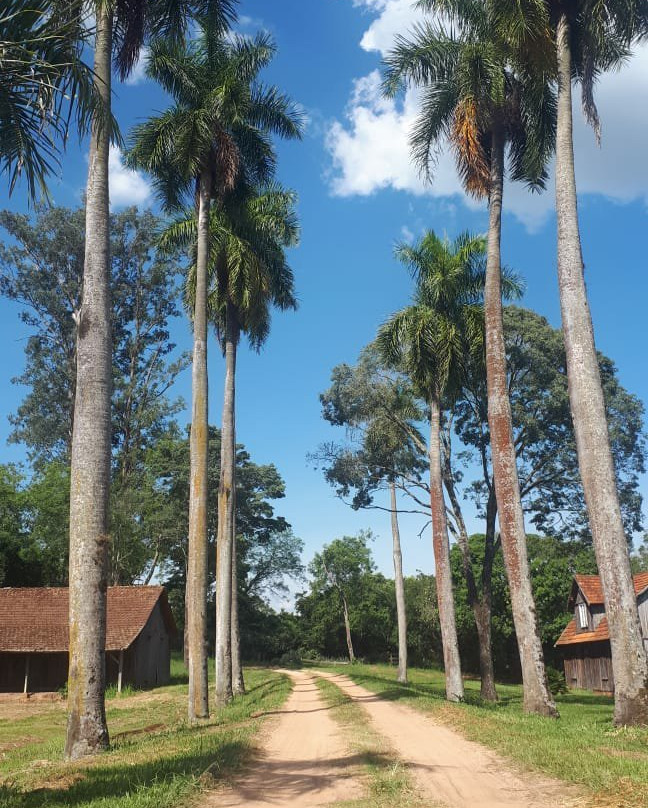 Fazenda Palma景点图片
