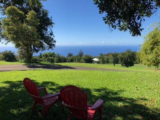 Parrots in Paradise Sanctuary-基亚拉凯库亚必去景点