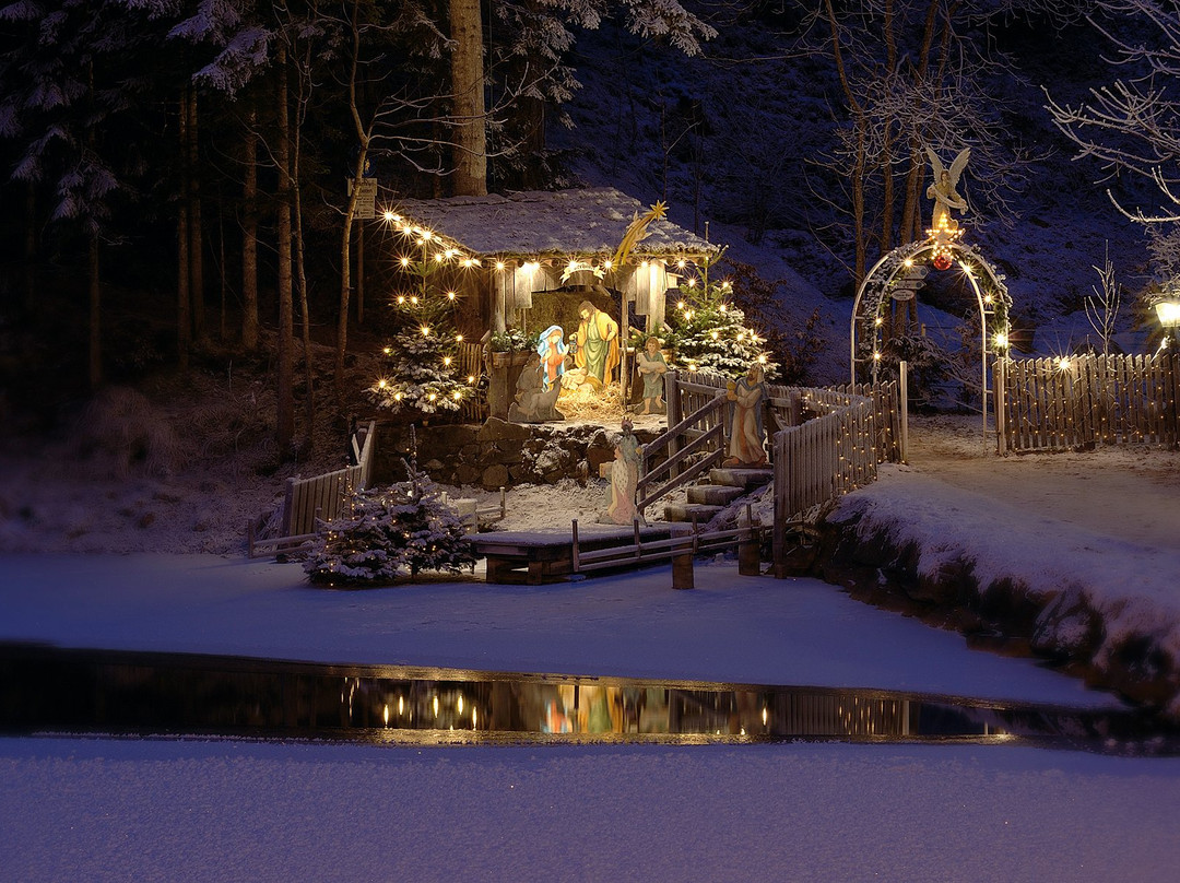 Parkhotel Tristachersee主图