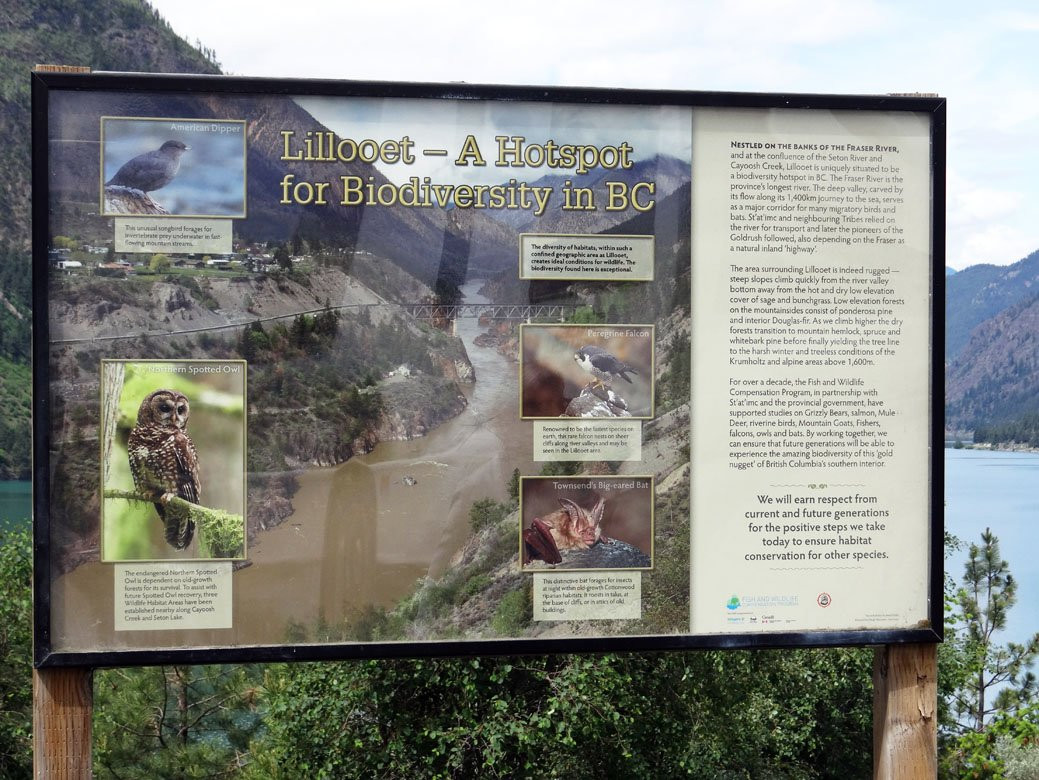 Seton Lake-Lillooet必去景点
