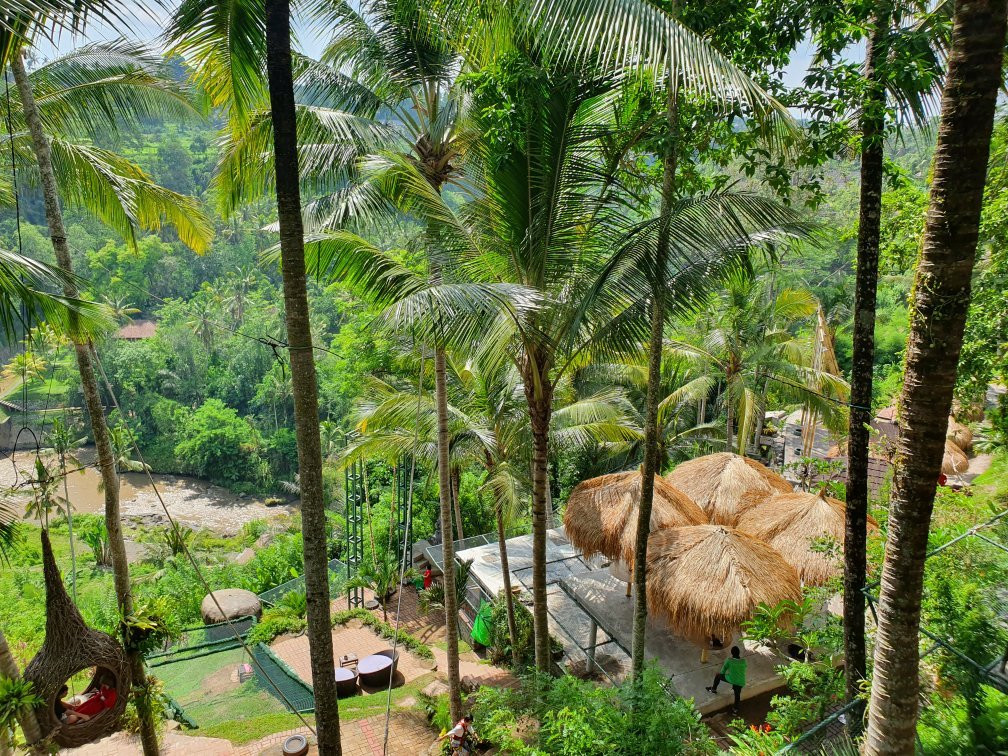 Bali Swing景点图片