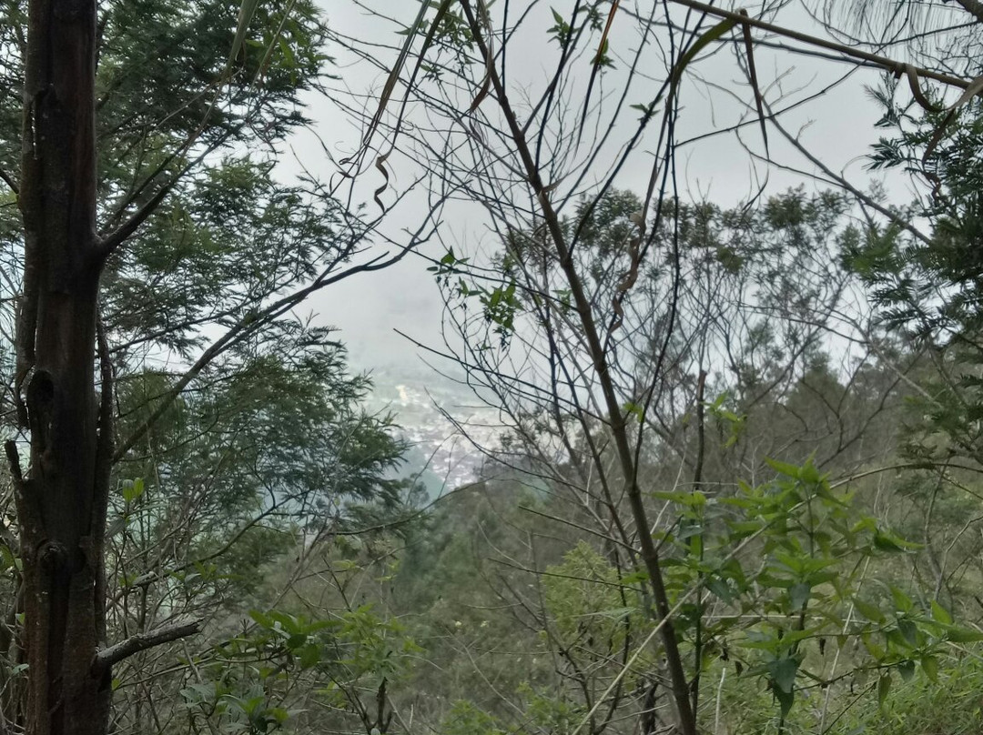 Sikunir Mountain-Dieng必去景点