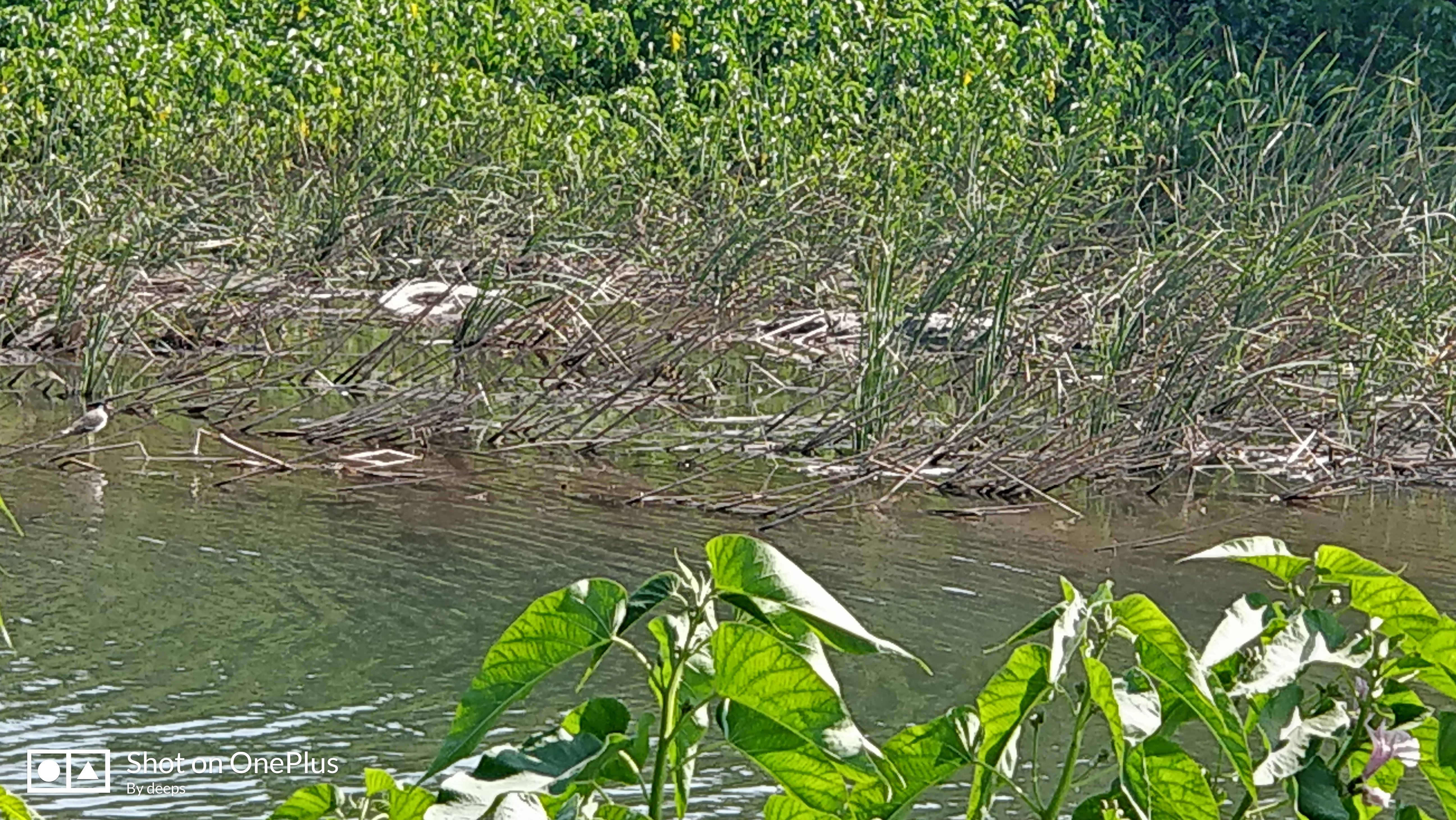 Hotel Anil Farmhouse-浴室