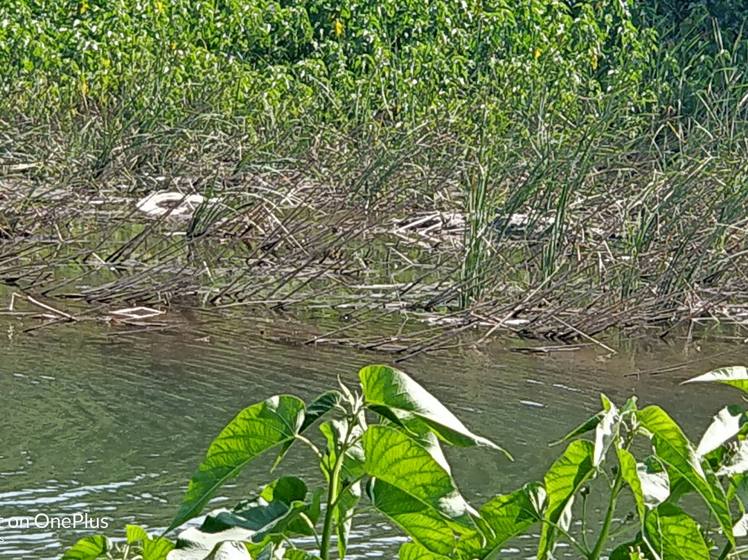 Hotel Anil Farmhouse主图