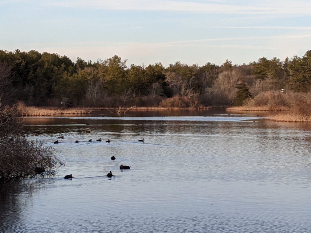 Quogue Wildlife Refuge景点图片