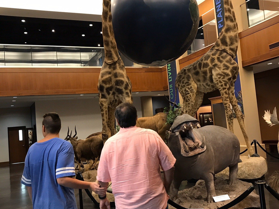 Monte L. Bean Life Science Museum-普若佛必去景点