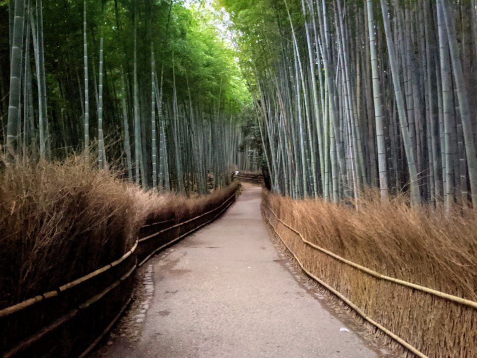 岚山景点图片