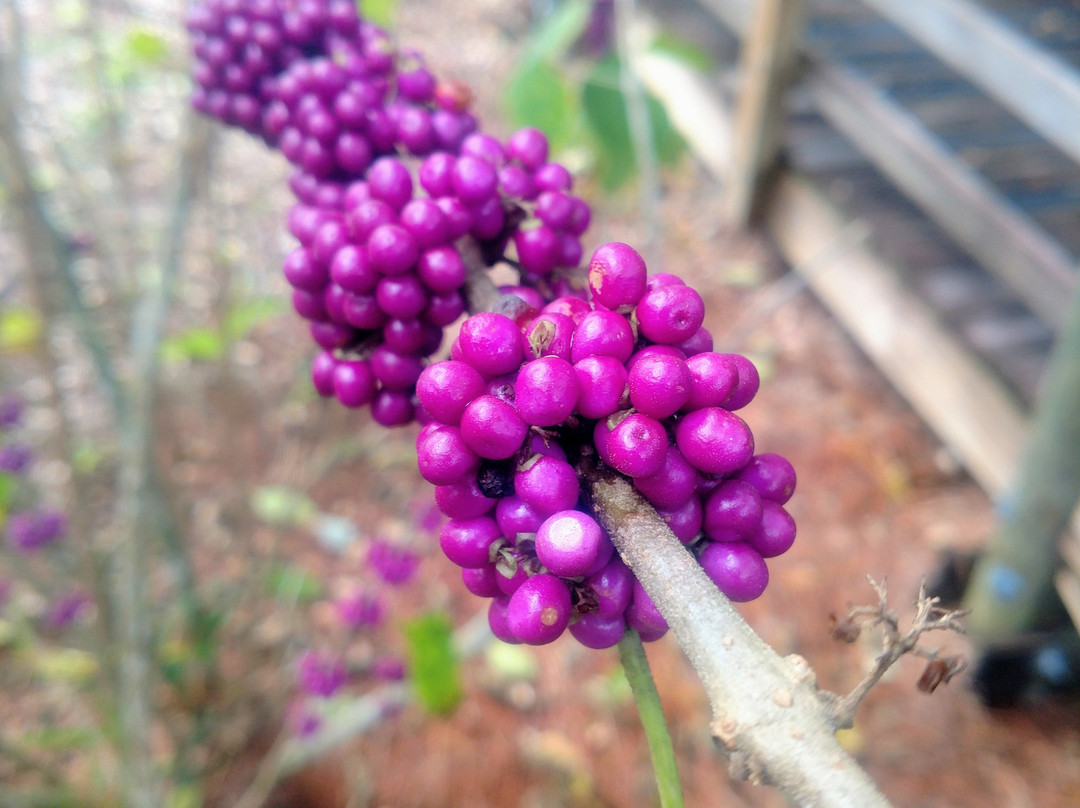 Oxbow Eco-Center-圣露西港必去景点