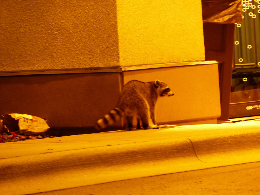 Hampton Inn & Suites Lake Mary at Colonial TownPark主图