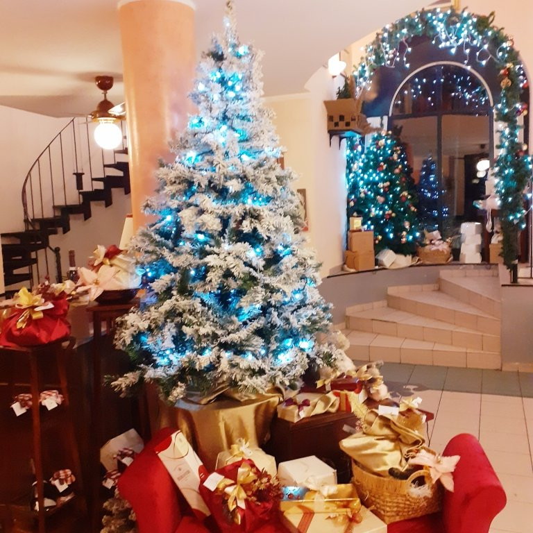 Romano Canavese旅游攻略图片