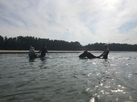 普吉国际马术俱乐部-呈塔累必去景点