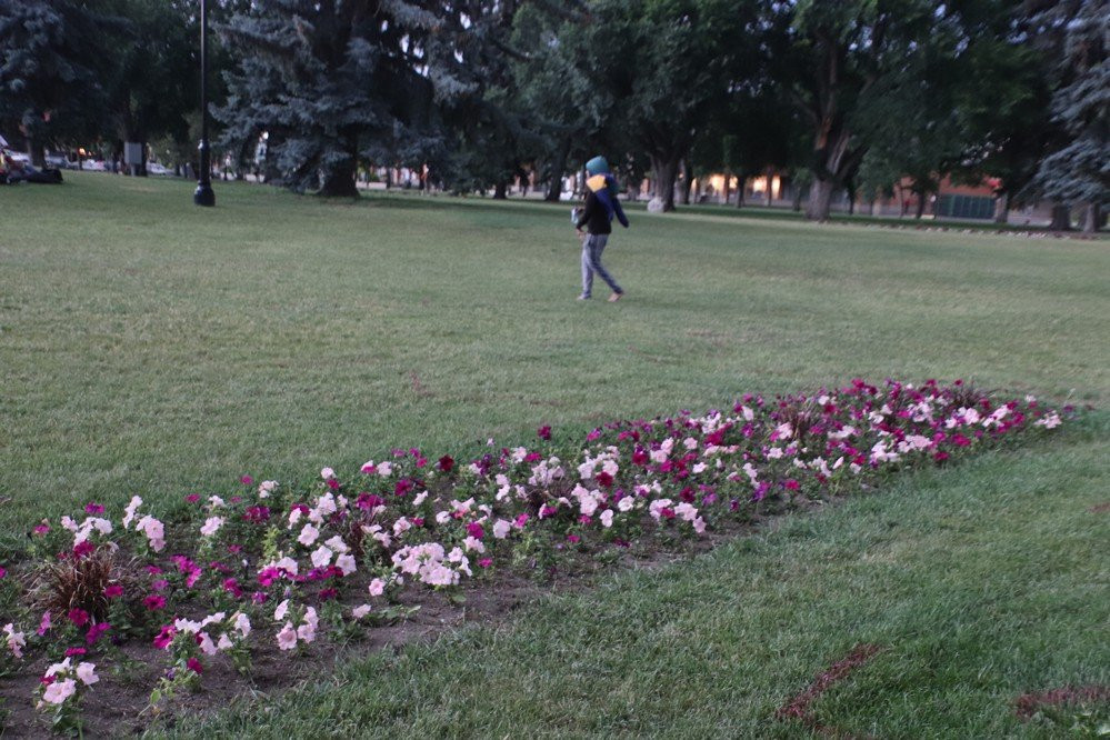 Rotary Park-怀特考特必去景点