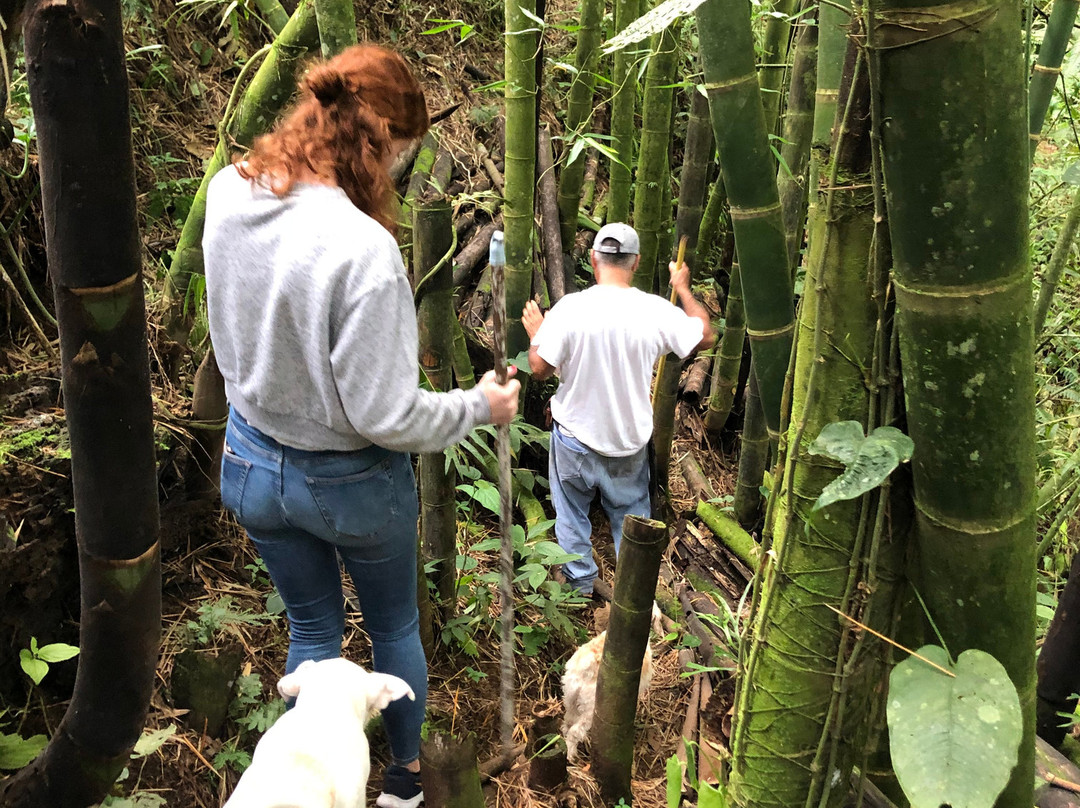 Finca Tematica La Divisa-Filandia必去景点