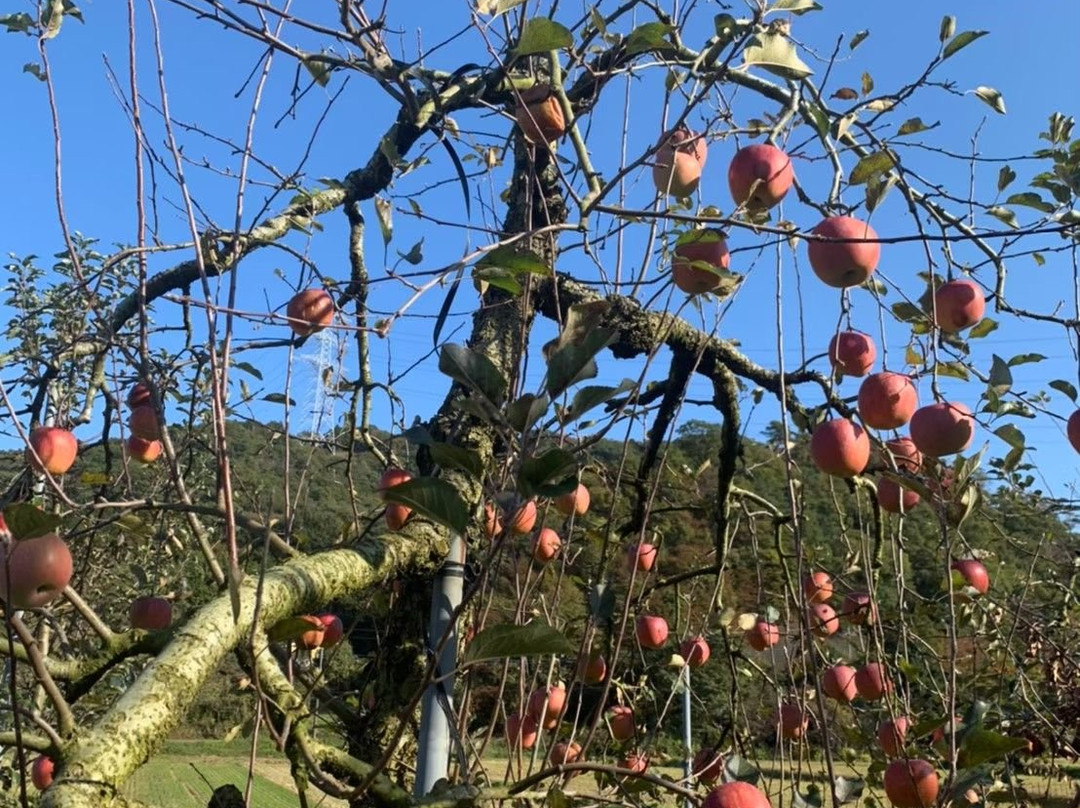 Hirota Orchard-益子町必去景点