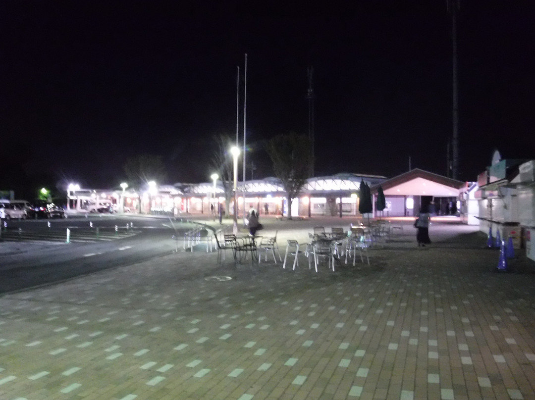 Takasaka Service Area Outbound-东松山市必去景点