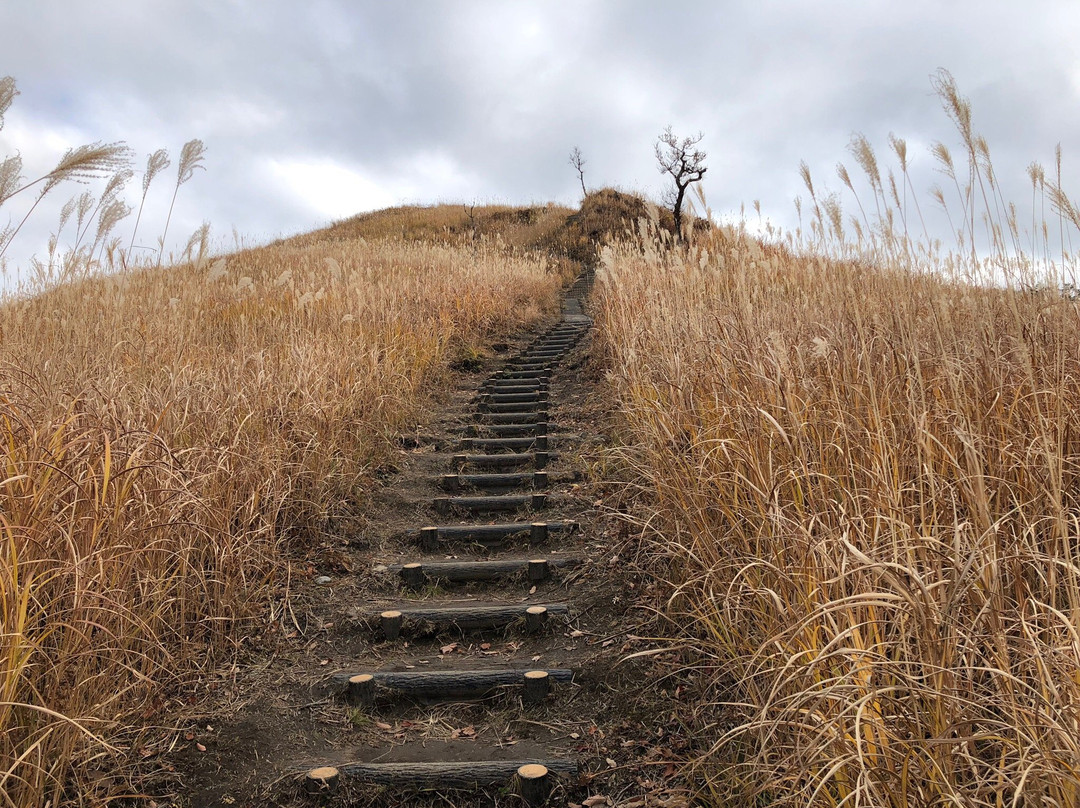 Toniomine Plateau-神河町必去景点