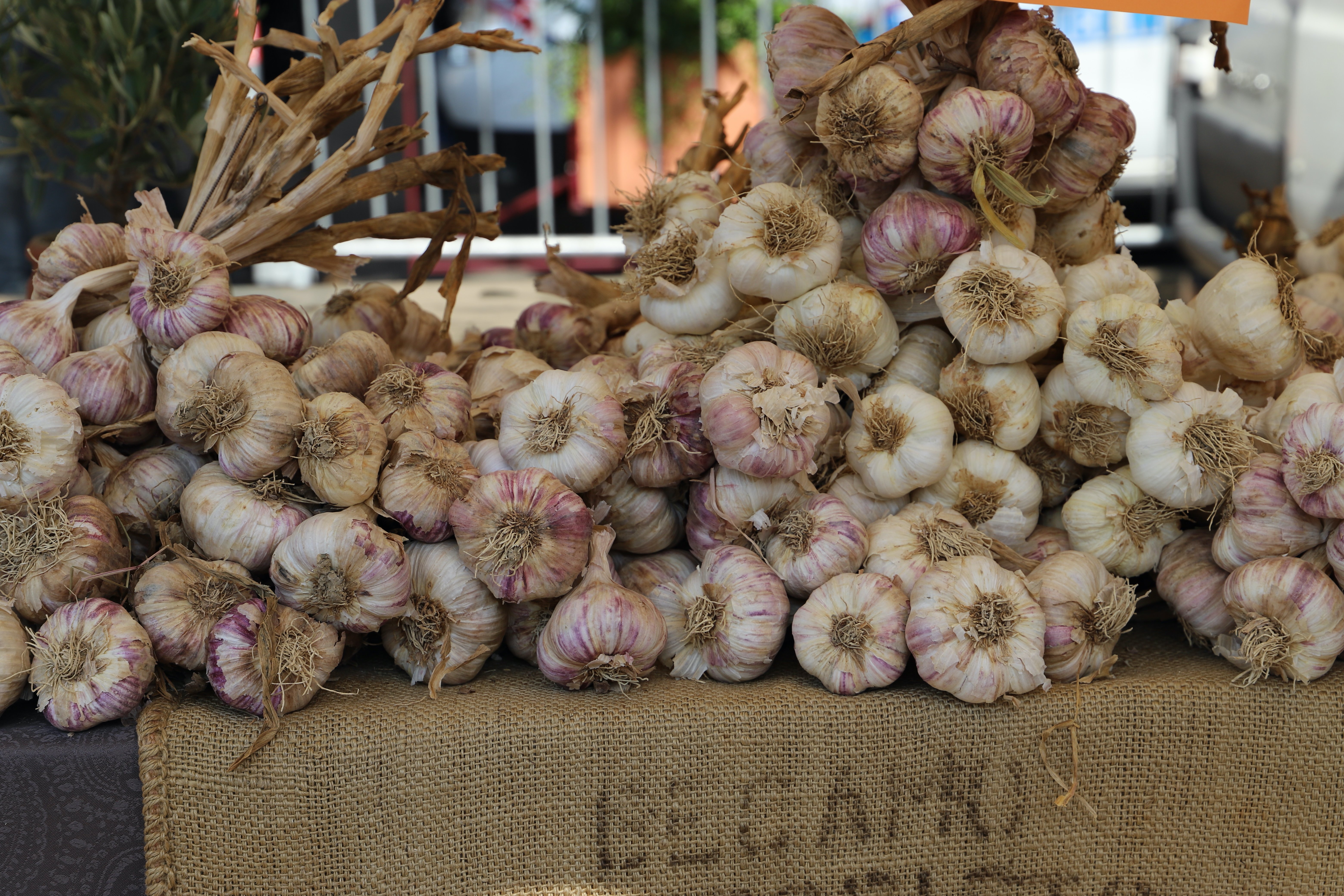 La Bastide au Ventoux-官方
