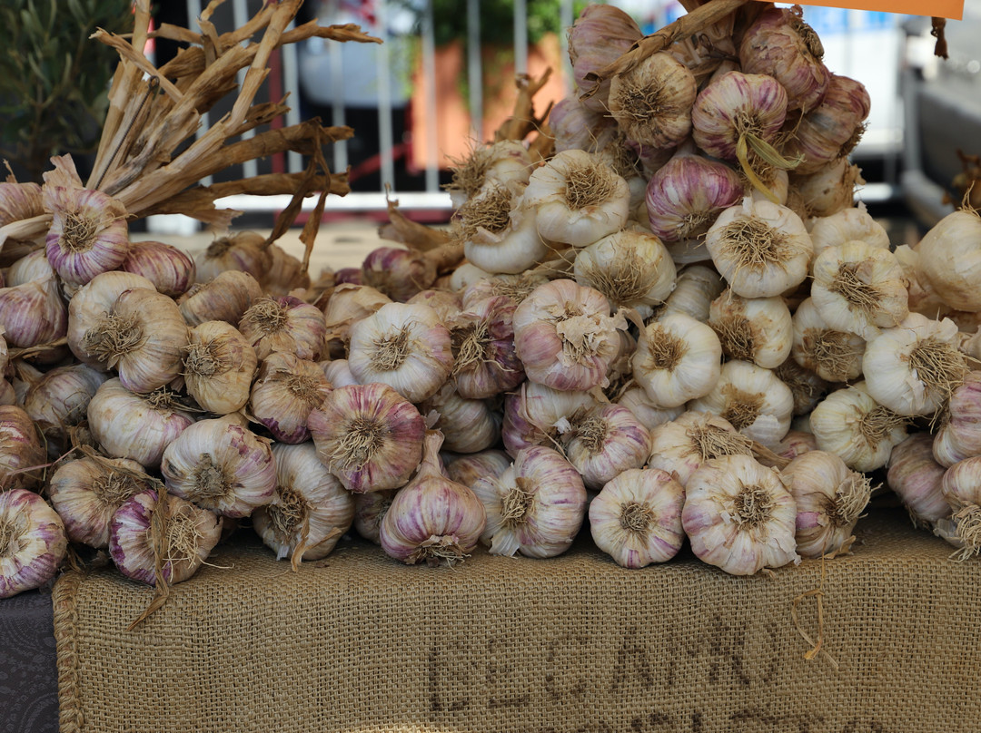 La Bastide au Ventoux主图
