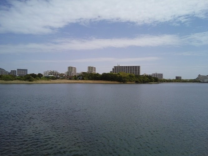 Yatsu Tidal Flats-习志野市必去景点