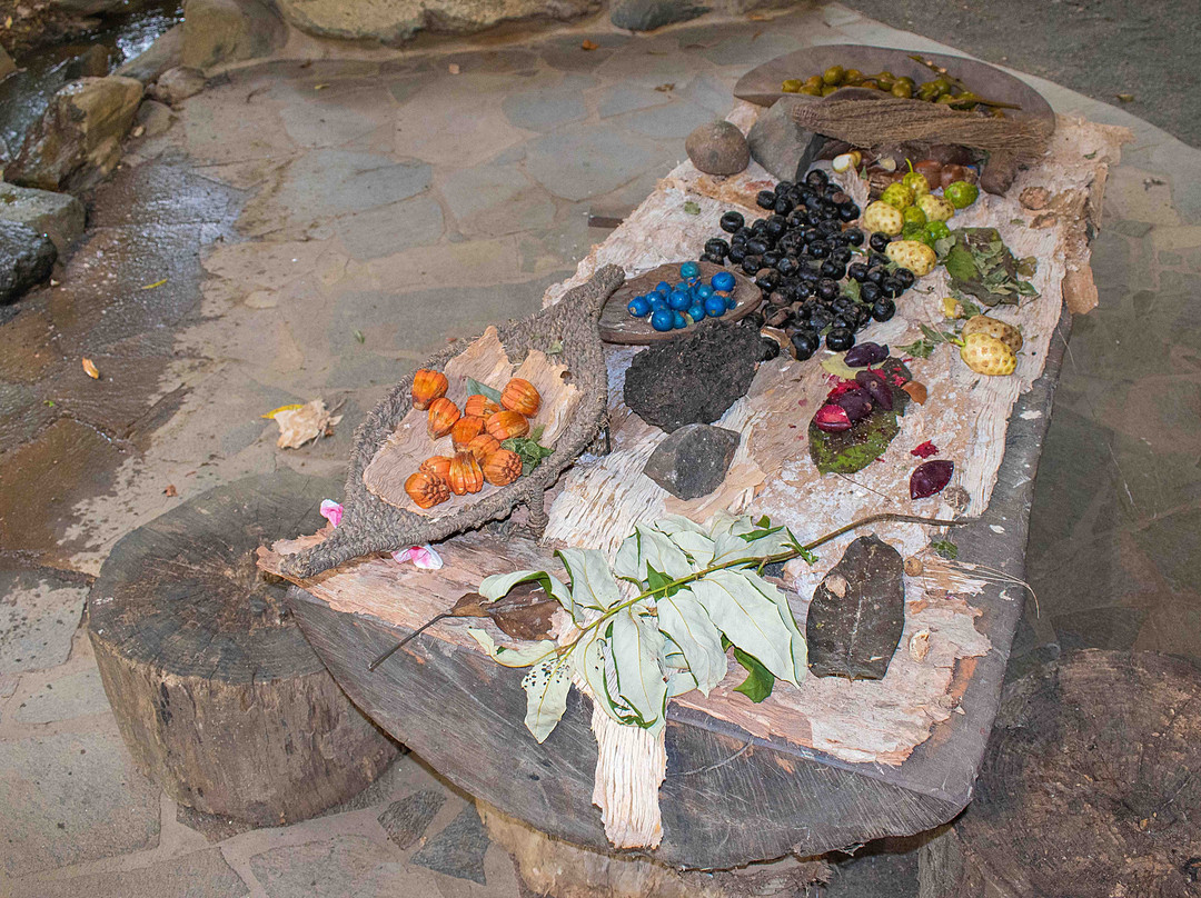 Tjapukai Aboriginal Cultural Park-Caravonica必去景点