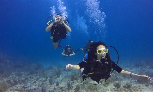 Ecoexpeditionsmexico-梅里达必去景点