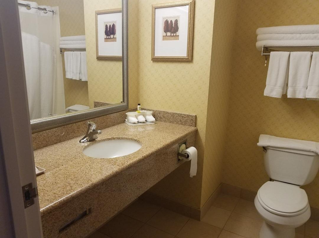 Genoa酒店住宿-明登快捷假日&套房酒店