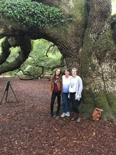 Angel Oak Tree景点图片