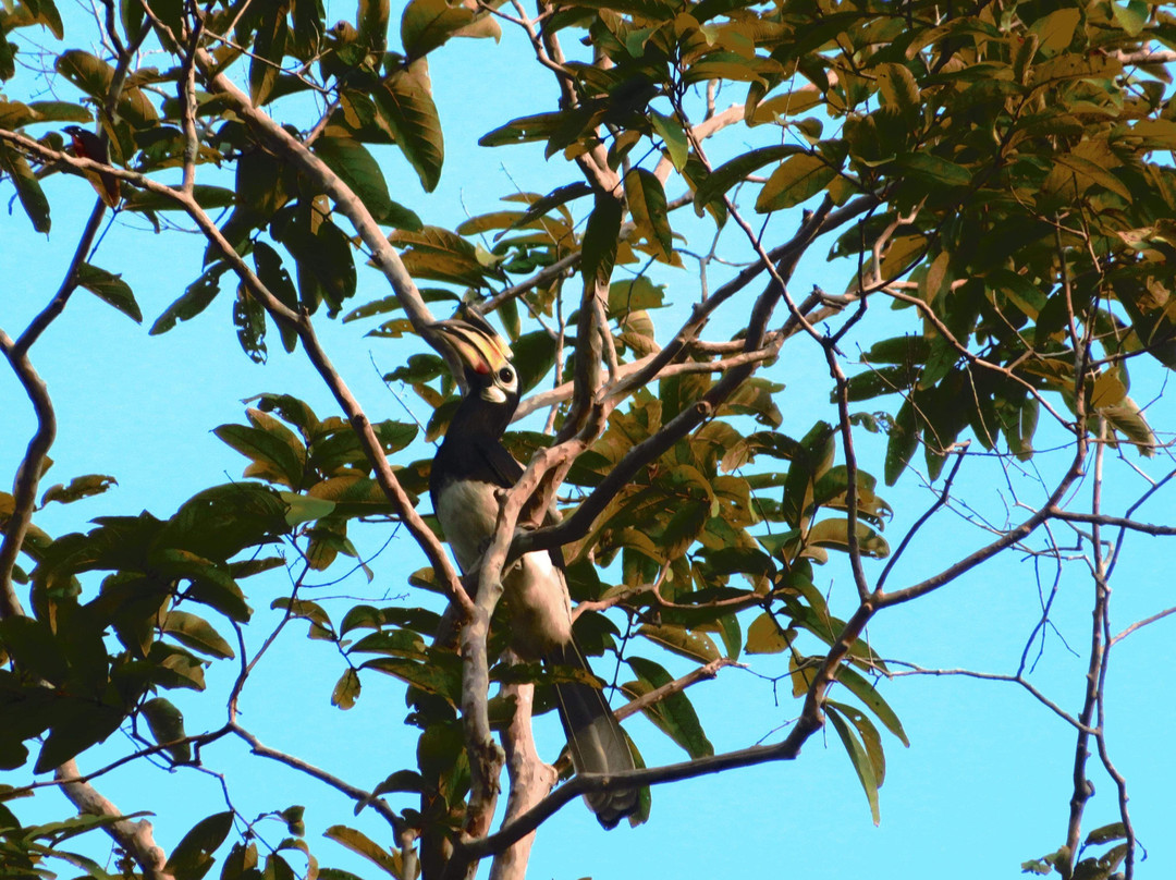 The Courtyard Guesthouse主图