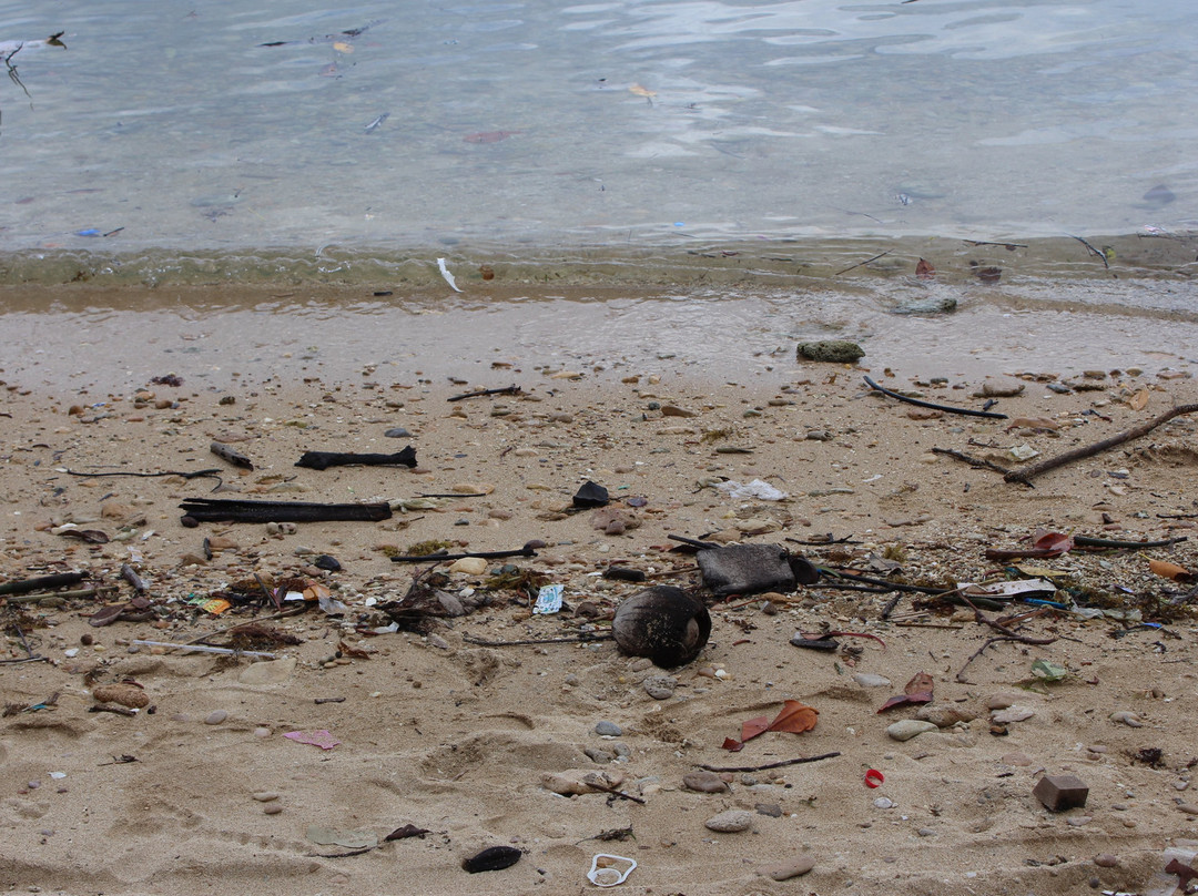 迪高岛度假村主图