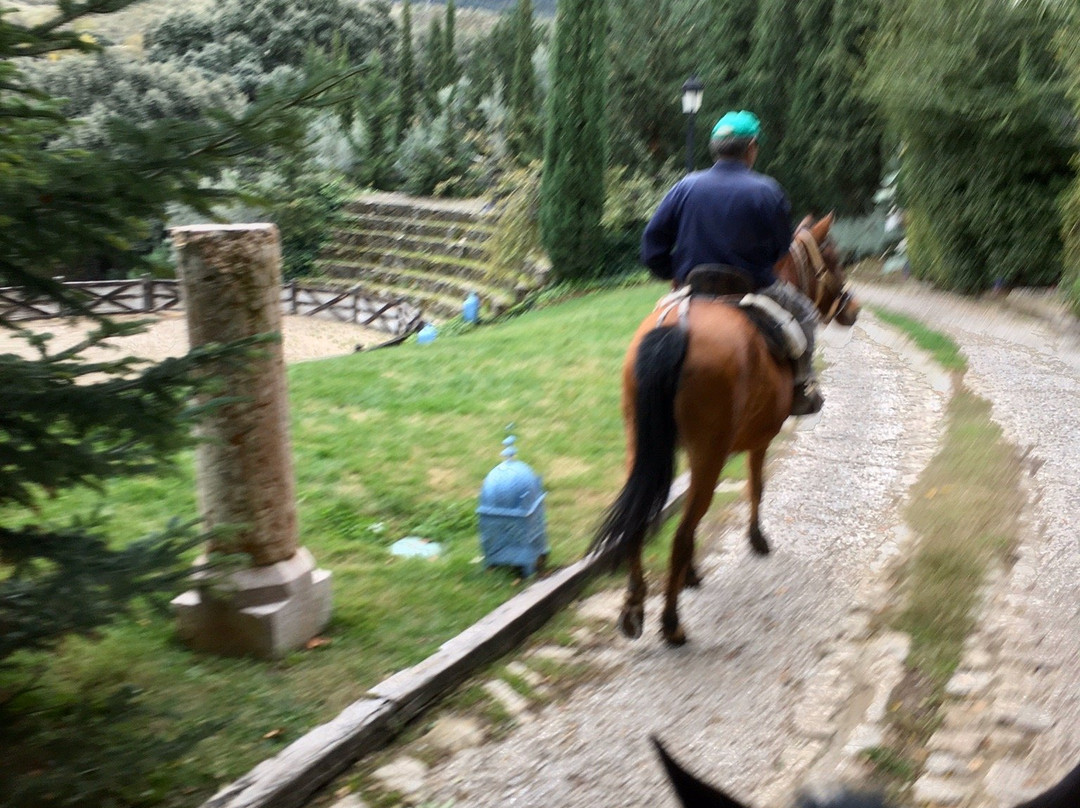 Finca Los Pastores主图