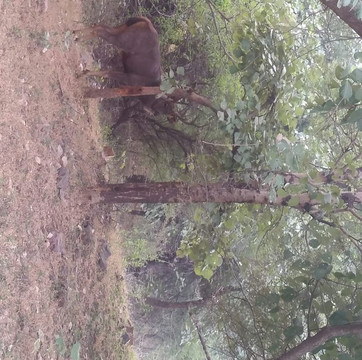 The yatra planner-普希卡必去景点