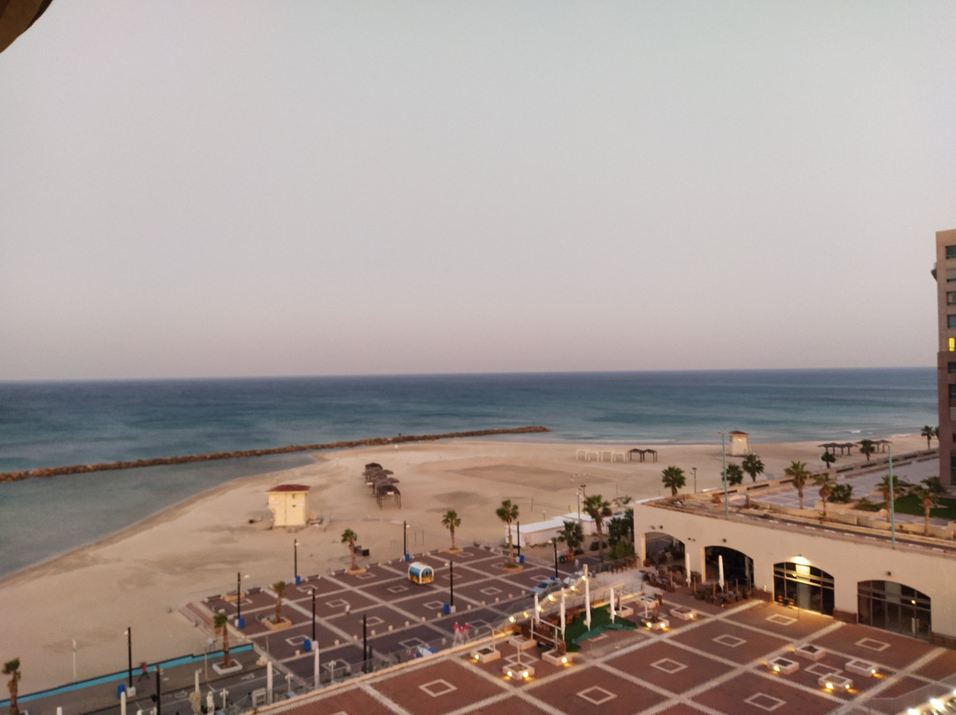 海法莱昂纳多酒店主图