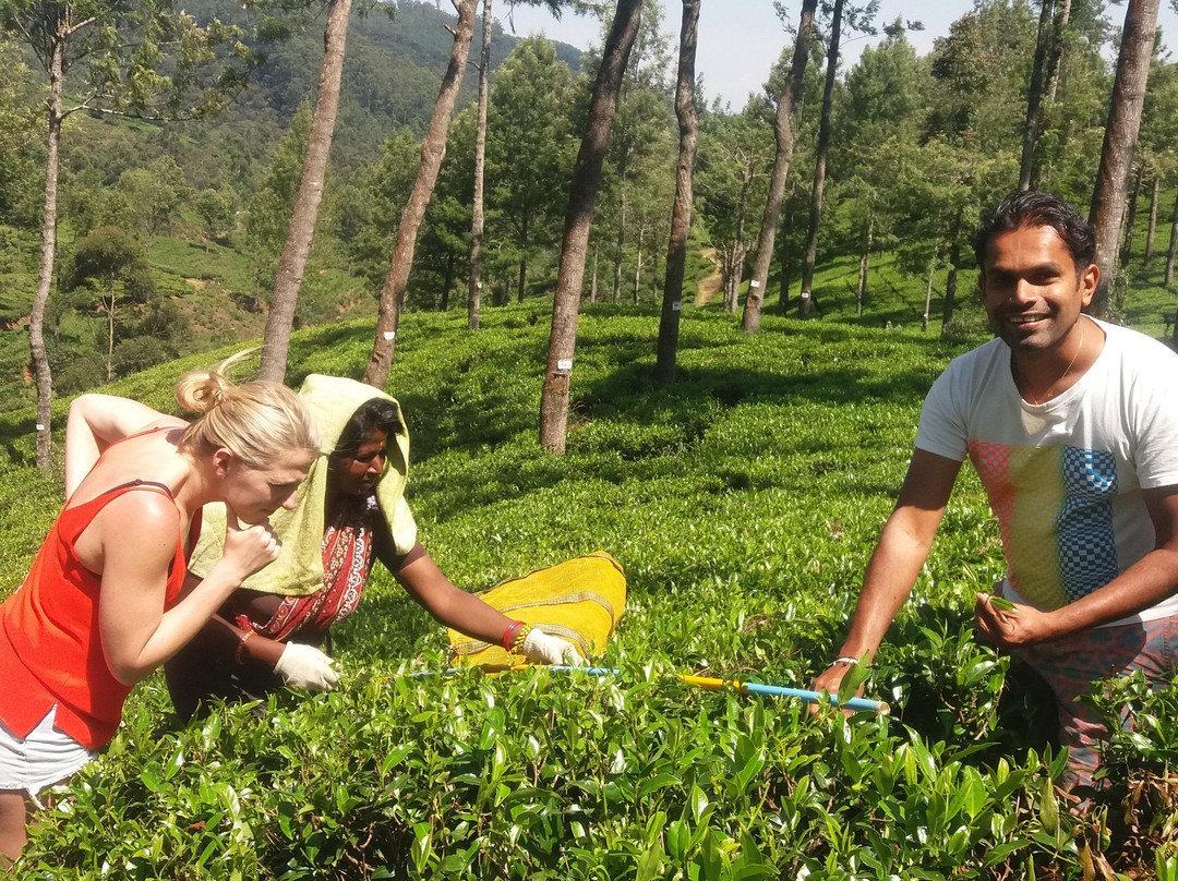 Sene Lanka Tours-科伦坡必去景点