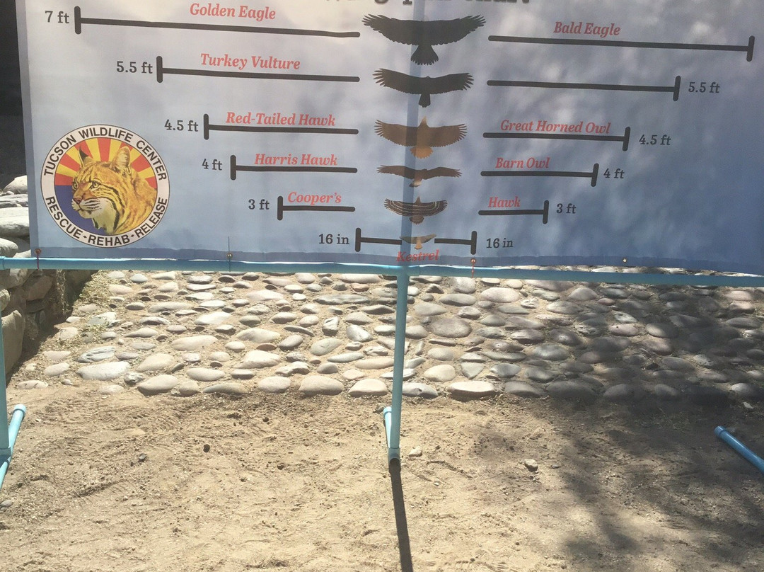 Tucson Wildlife Center-图森必去景点