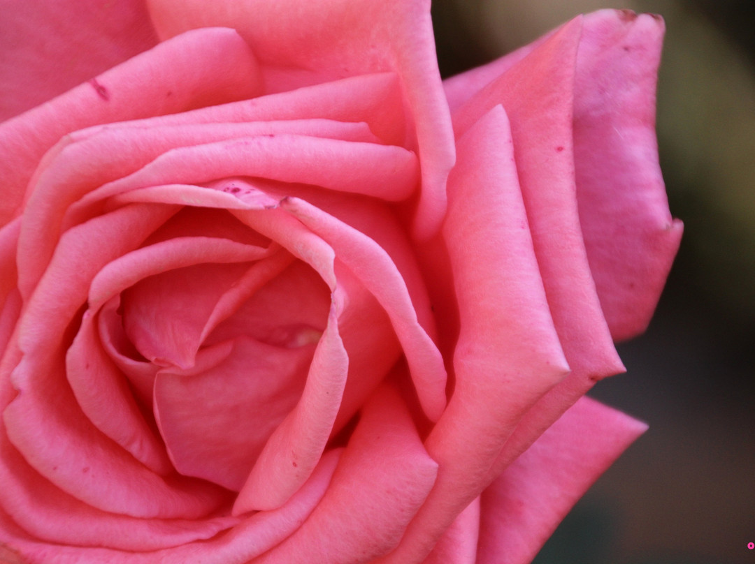 Villa Galilee Boutique Hotel主图