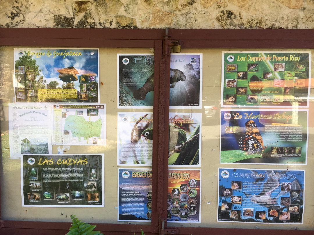 Guajataca Forest Reserve-Isabela必去景点