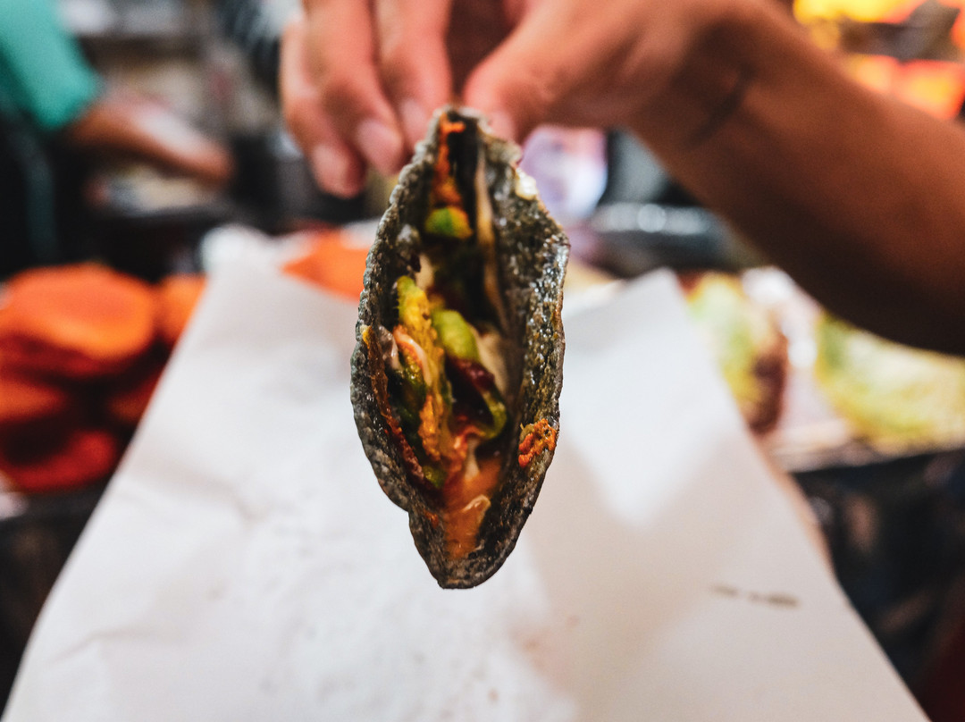 Bondabu-墨西哥城必去景点