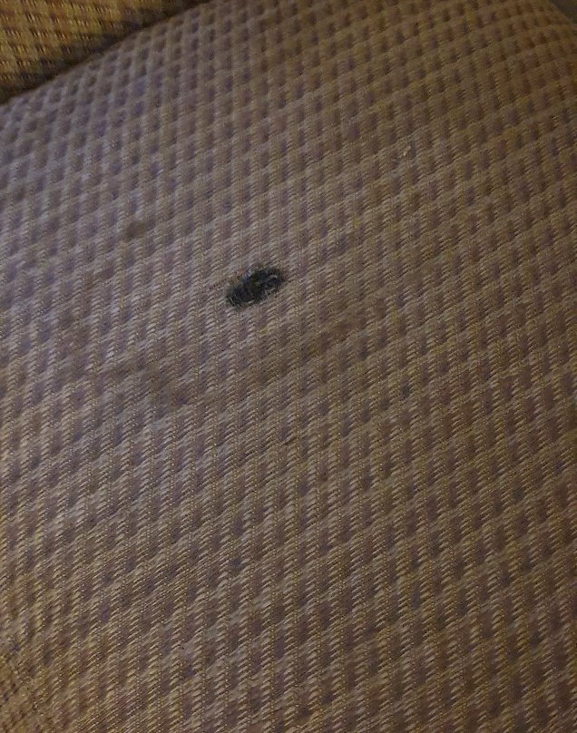 Ranchito Motel主图