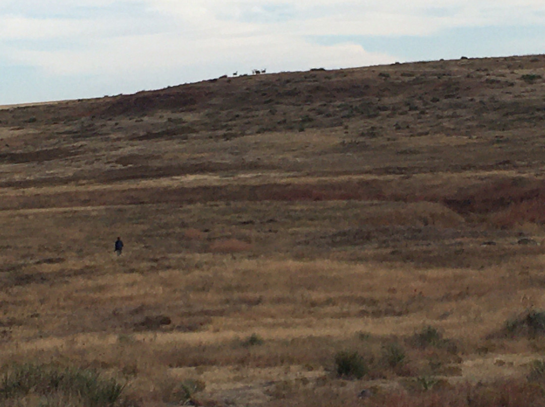 Smoky Valley Ranch-Oakley必去景点