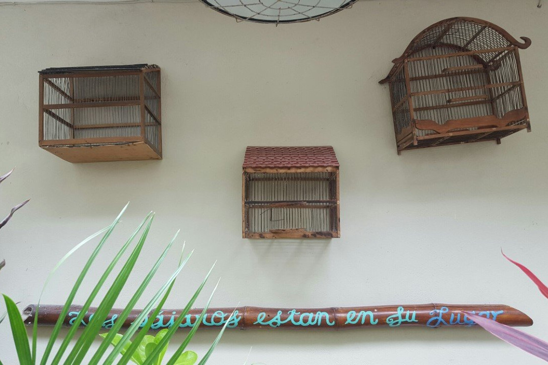 Hotel Siesta Holbox主图